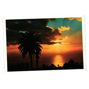 Canary Islands Sunset Vintage Postcard Palm Silhouette Ocean Scene John Hinde